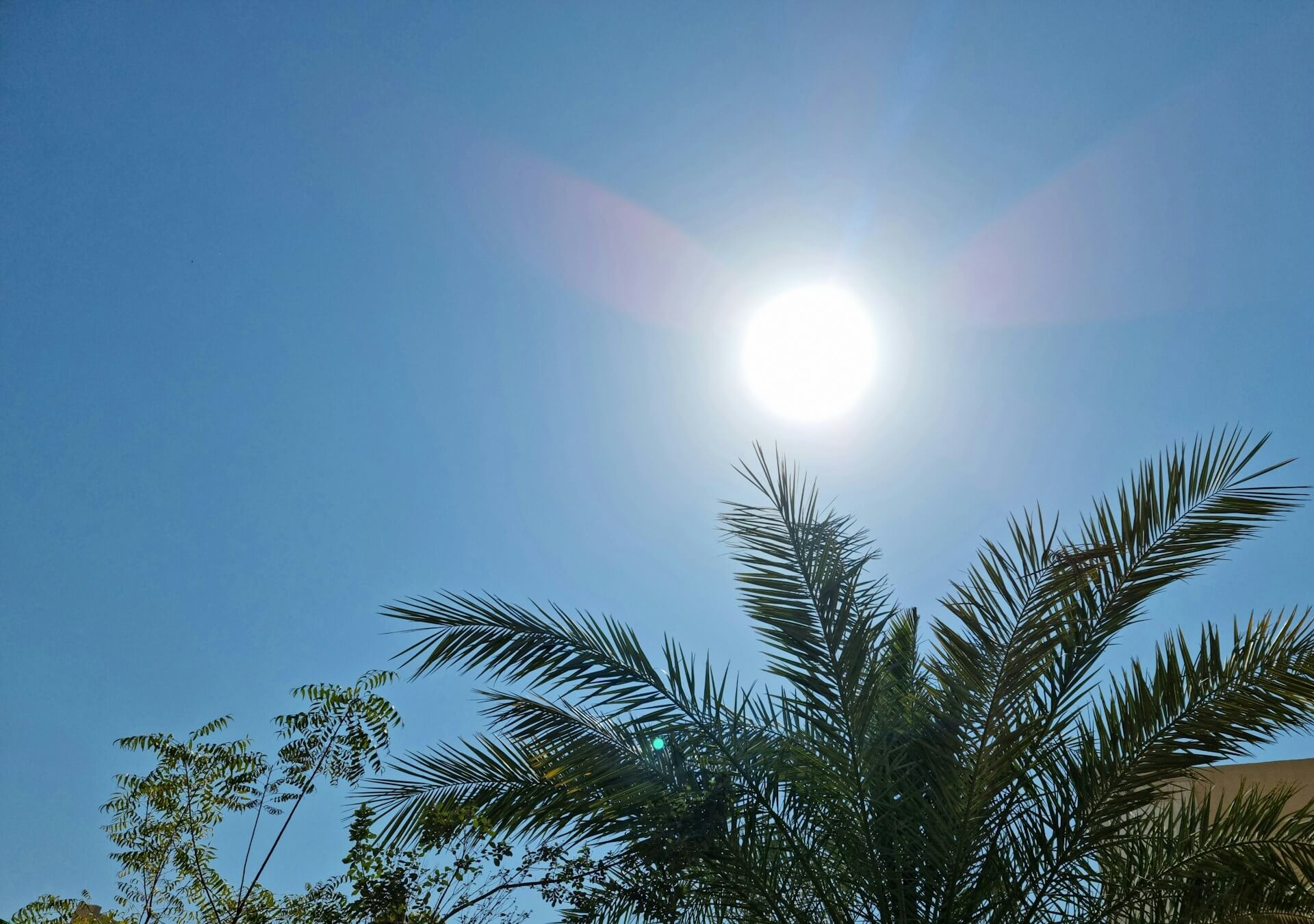 Daily habits to improve life Sun soaking 3