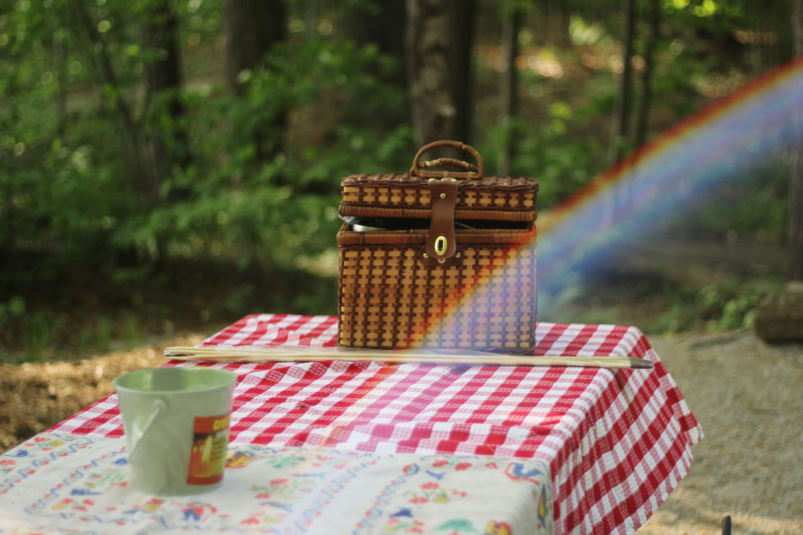 summer hobbies enjoying picnic