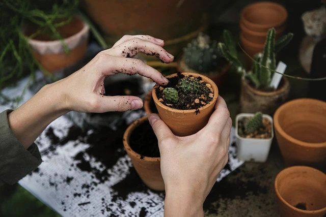 how to enjoy your own company doing gardening