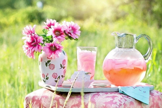 june bucket list ideas home picnic