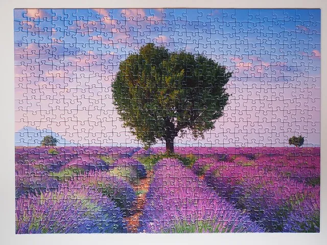 things to do on a hot day 1000 piece adult puzzles