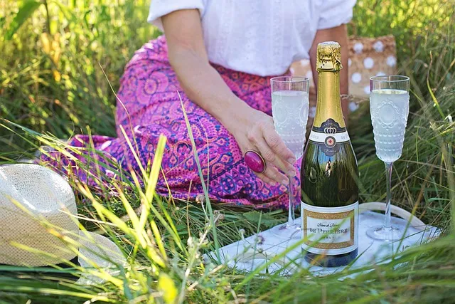 fun things to do in summer picnic