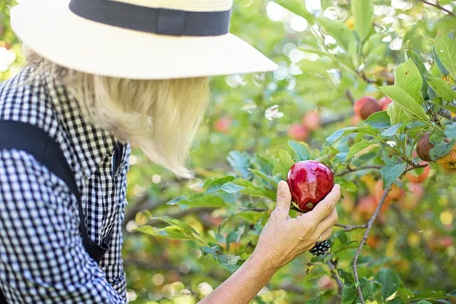 september bucket list apple picking