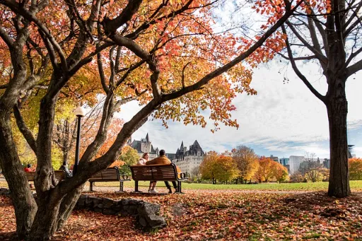 things to do in fall couple outings